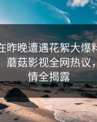 主持人在昨晚遭遇花絮大爆料！愤怒爆发后，蘑菇影视全网热议，事件详情全揭露