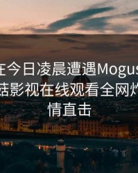 圈内人在今日凌晨遭遇Mogushipin炸裂，蘑菇影视在线观看全网炸锅，详情直击